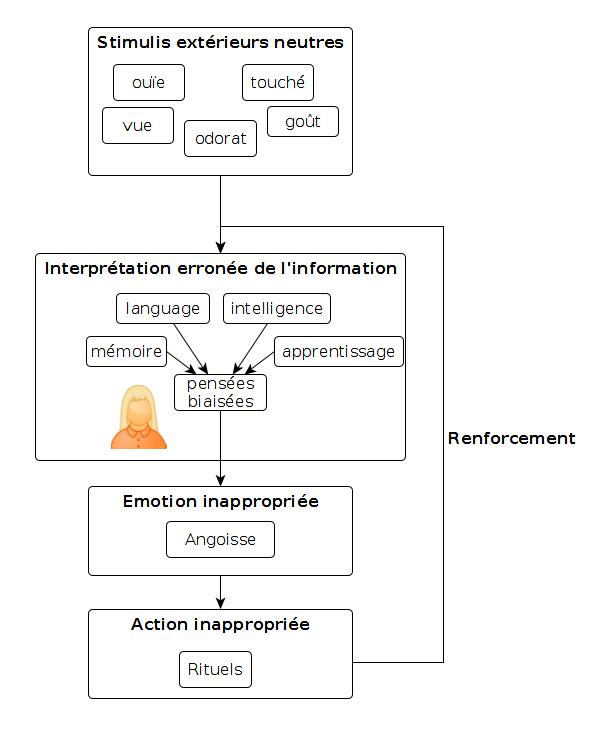 Schéma de la formation de biais cognitifs